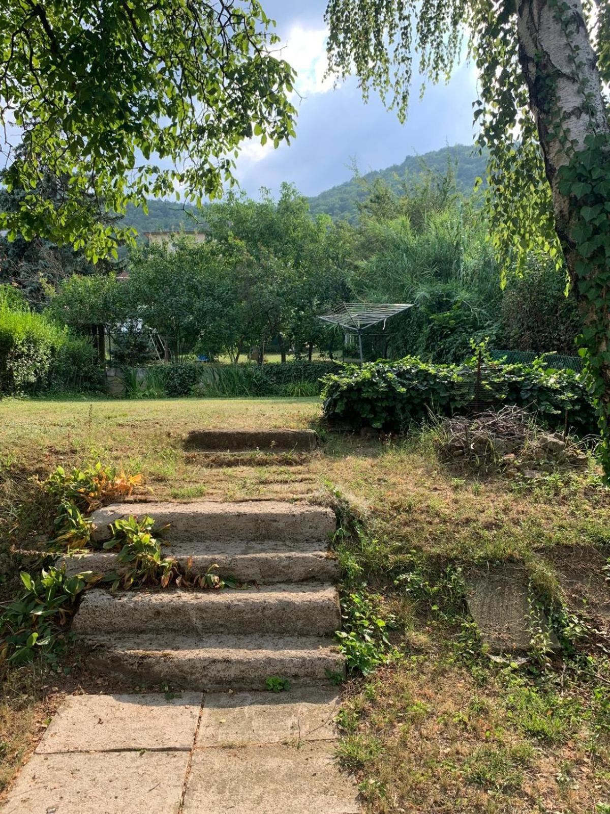 Panorama On The Hill With Free Garage Apartment Budapest